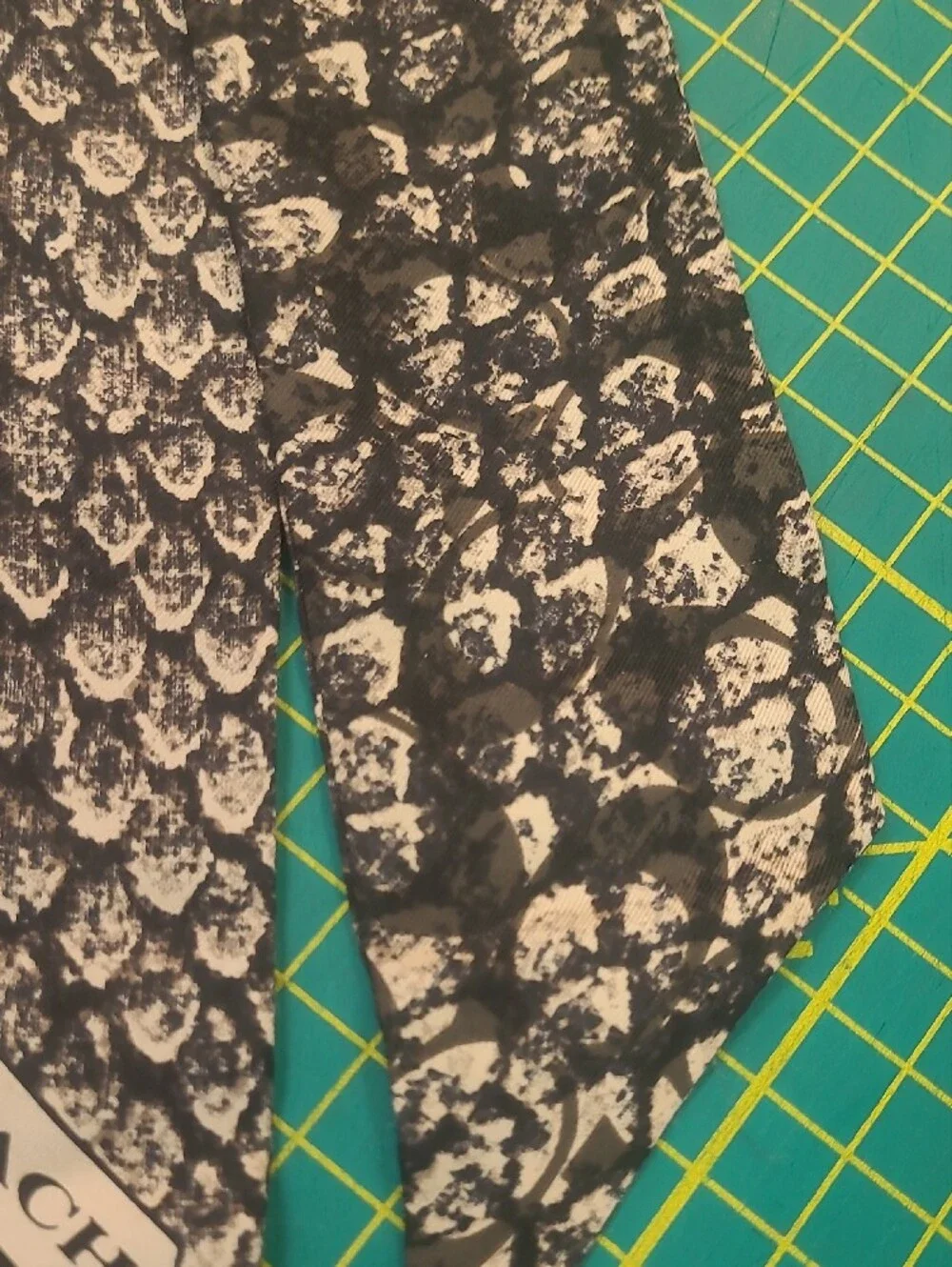 Coach Taylor  Black & White Snake-Print Silk Scarf Tie F83980